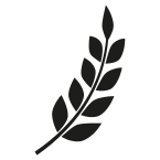 Servicios 2 Cultivo de cereales y oleaginosas